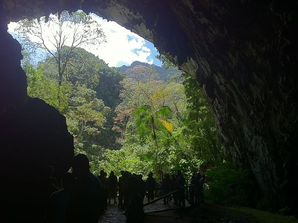 Cueva del Guácharo Venezuela