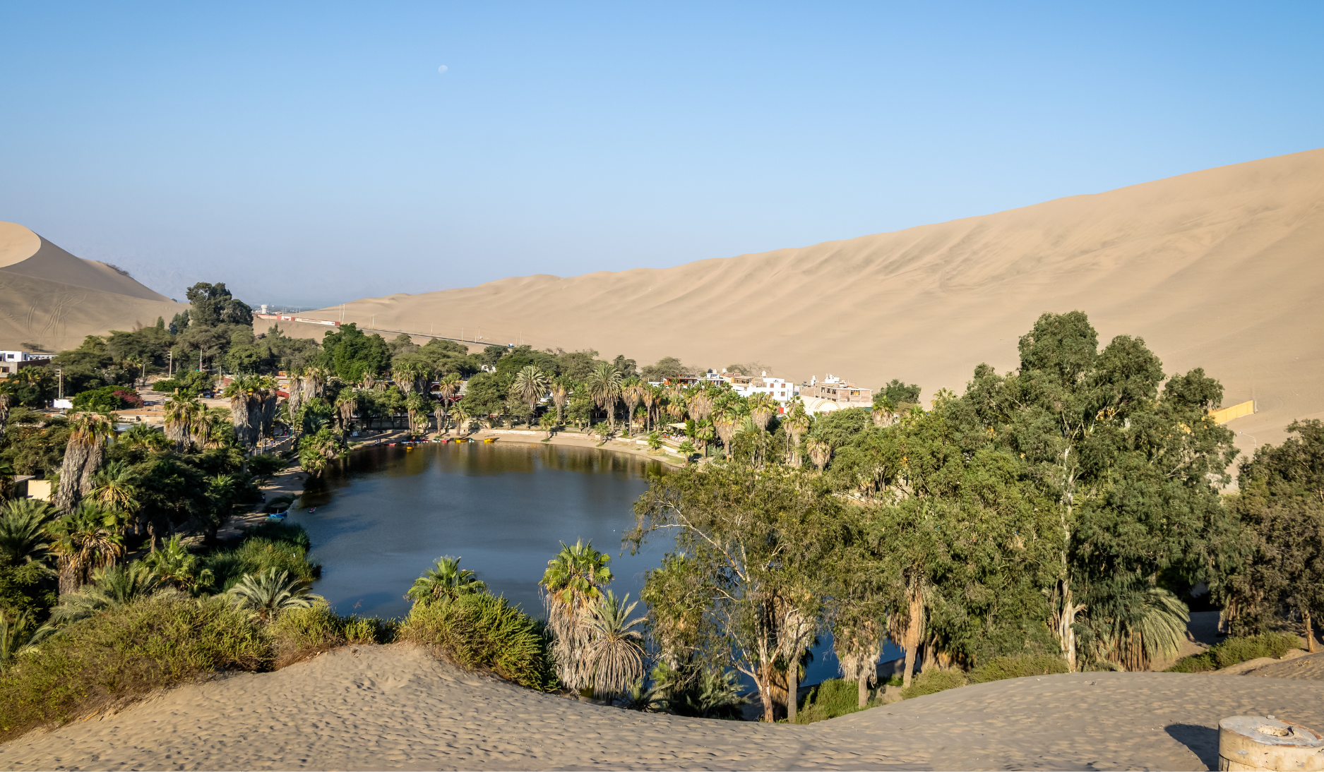 Huacachina_nature