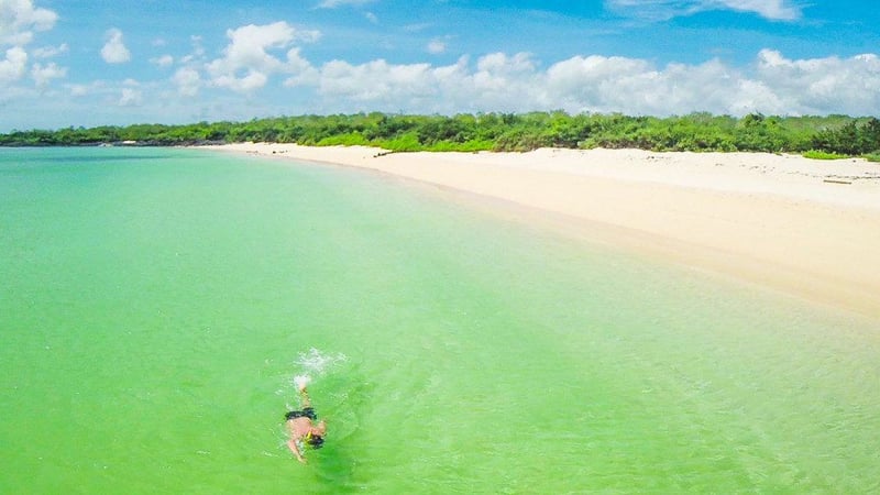 Nageur près d'une plage Galapagos 