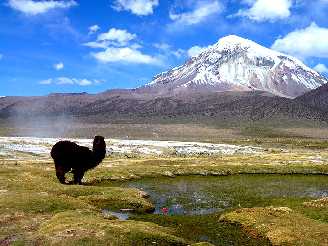 Que voir en Bolivie ? Parc National Sajama © <a href="https://www.flickr.com/photos/guellec31" target="_blank">Léo Guellec</a>