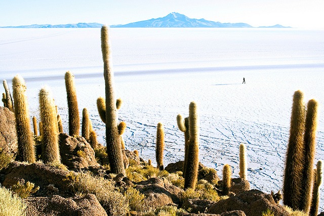 Salar depuis Incahuasi, que voir en Bolivie © <a href="https://www.flickr.com/photos/ru_boff/" target="_blank">Dimitry B.</a>