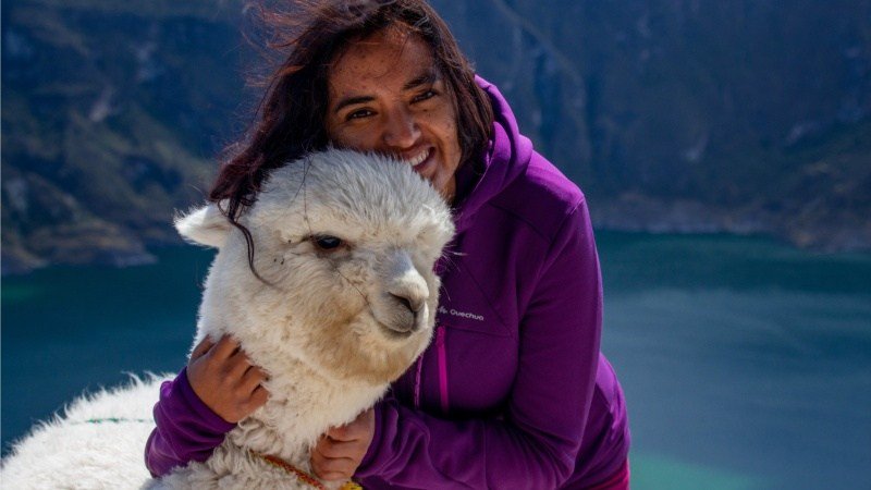 faire un câlin à un alpaga ?