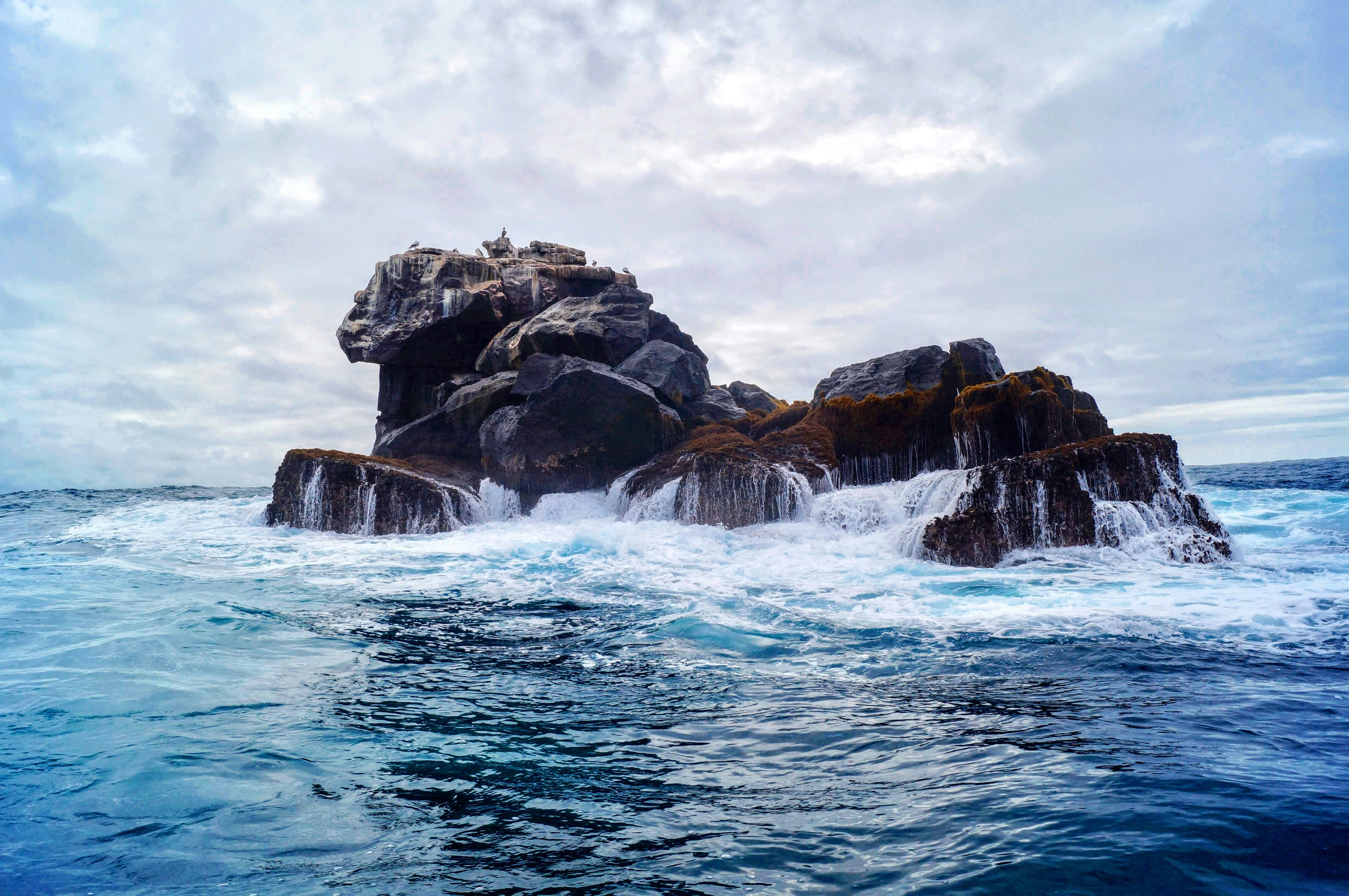 Les Îles Galapagos 