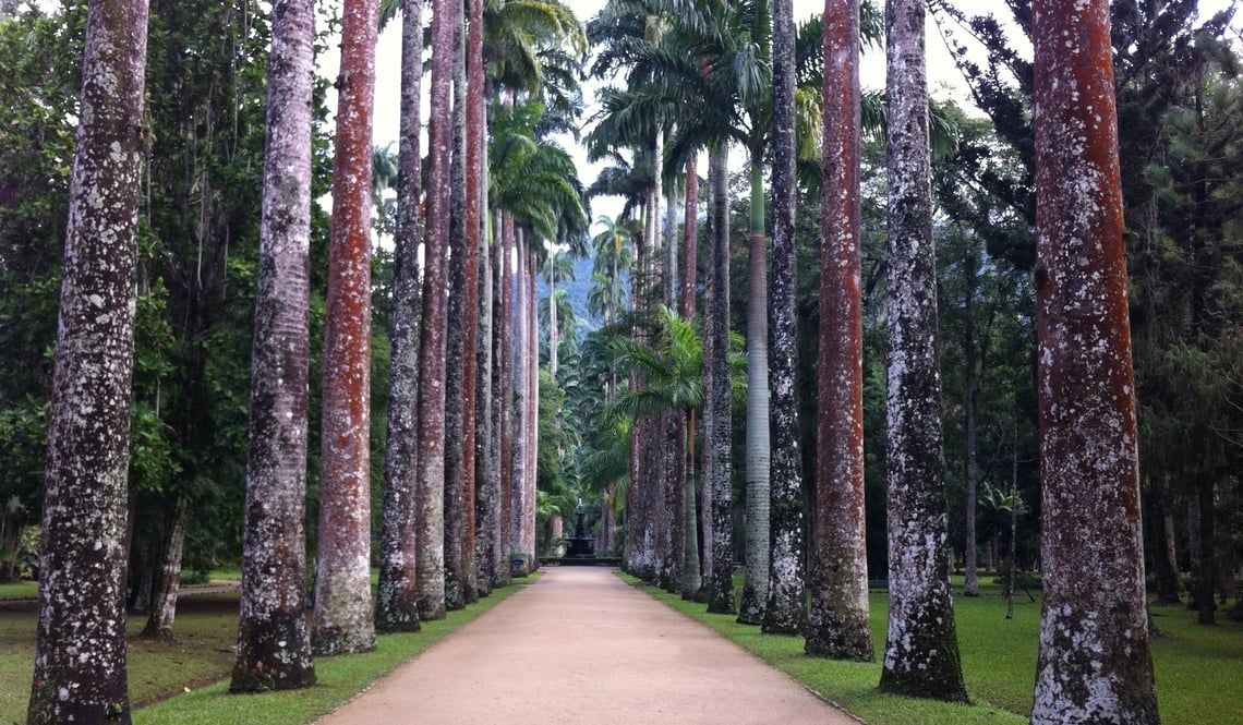 jardin-botanique-rio